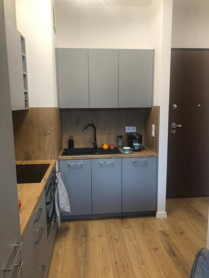 Central Point Apartament, Browary Warszawskie , Free Wifi, Fv Warsawa Bagian luar foto